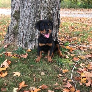 Meet your Posher, Angela